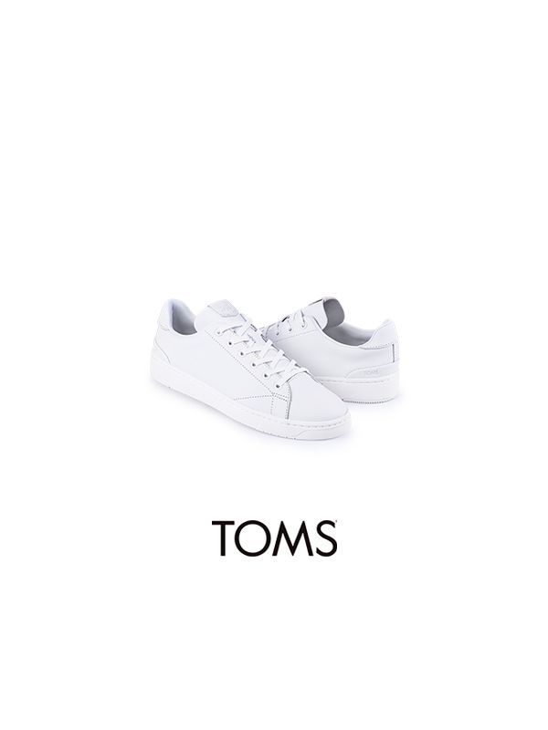 Lacoste toms on sale
